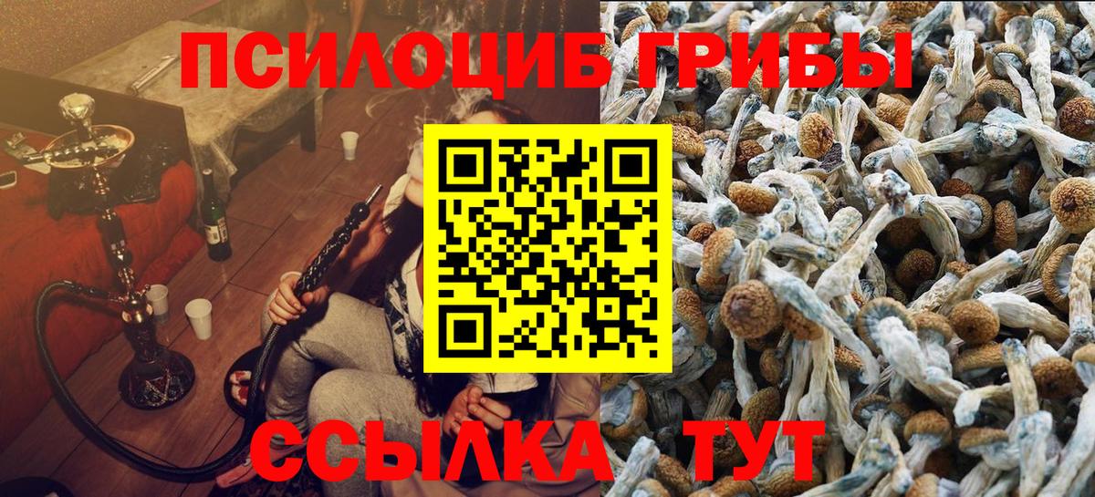 Псилоцибиновые грибы ЛСД  даркнет сайт  Псилоцибиновые грибы Psilocybine cubensis  Спасск-Дальний  Вход с VPN 