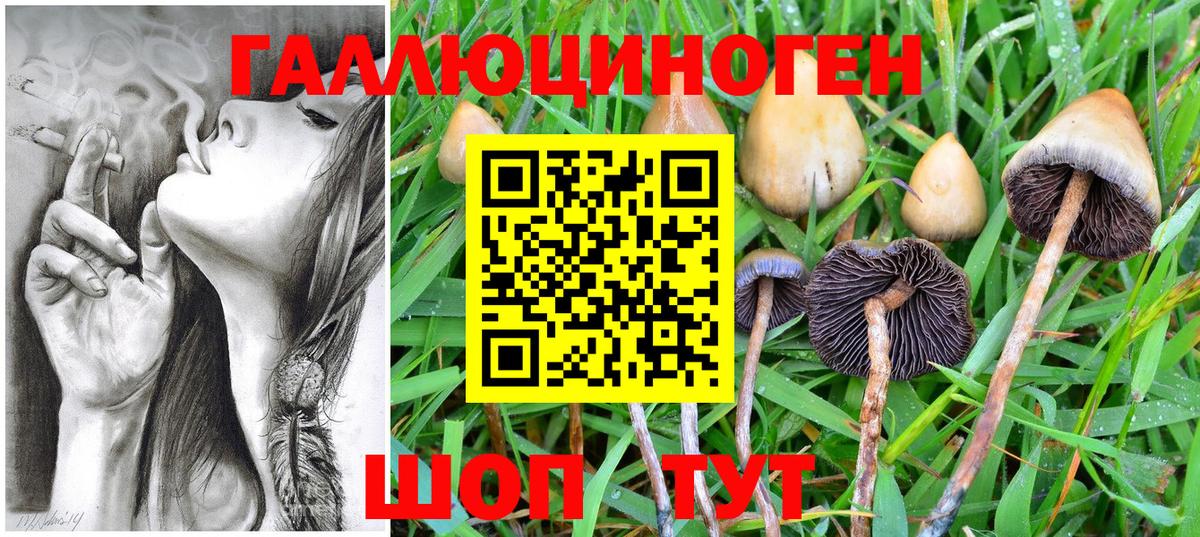 Псилоцибиновые грибы мухоморы Спасск-Дальний